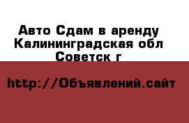 Авто Сдам в аренду. Калининградская обл.,Советск г.